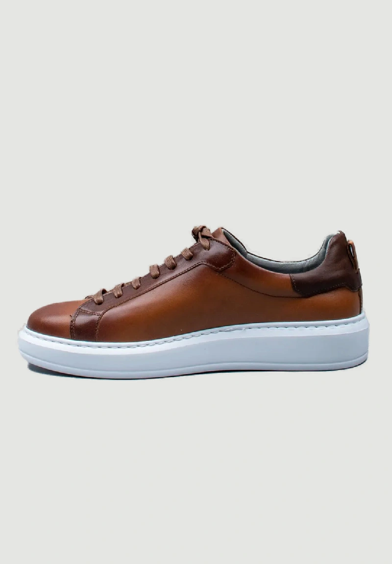 Damiani Ανδρικά Δετά Sneakers Ταμπά με Λευκή Σόλα - 3406 - Eshop Aggelidis